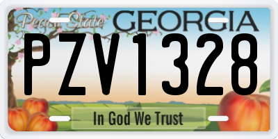 GA license plate PZV1328