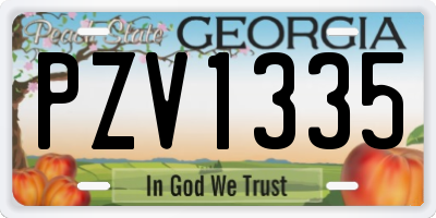 GA license plate PZV1335