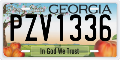 GA license plate PZV1336