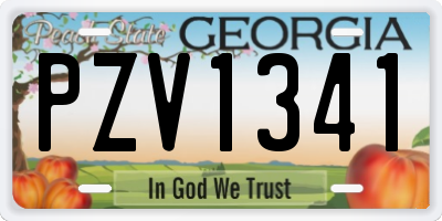 GA license plate PZV1341