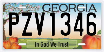 GA license plate PZV1346