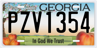GA license plate PZV1354
