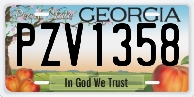 GA license plate PZV1358
