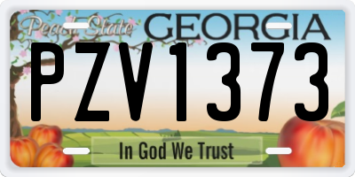 GA license plate PZV1373