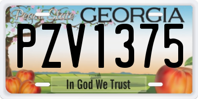 GA license plate PZV1375