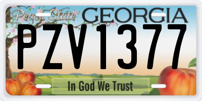 GA license plate PZV1377
