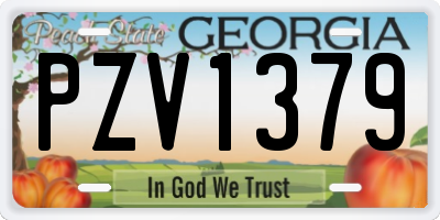 GA license plate PZV1379