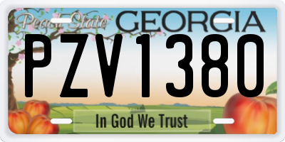 GA license plate PZV1380