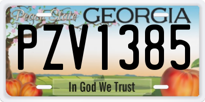 GA license plate PZV1385