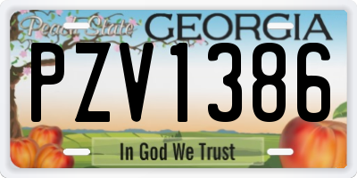 GA license plate PZV1386