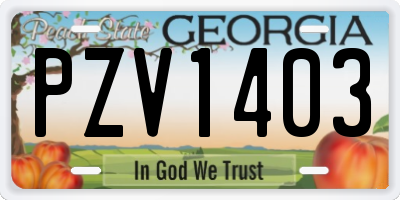GA license plate PZV1403