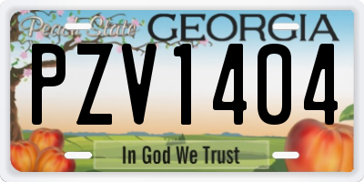 GA license plate PZV1404