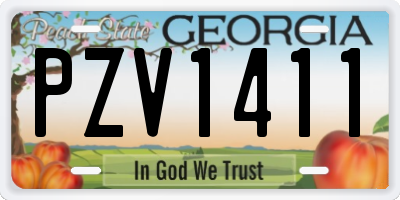 GA license plate PZV1411