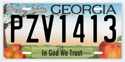 GA license plate PZV1413