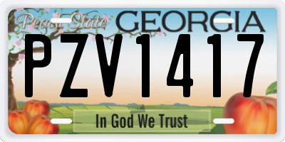 GA license plate PZV1417