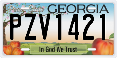 GA license plate PZV1421