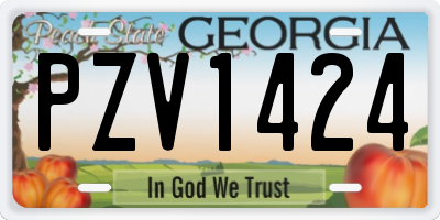 GA license plate PZV1424