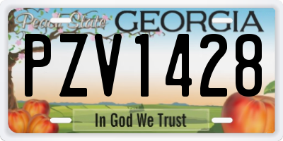GA license plate PZV1428
