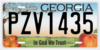 GA license plate PZV1435