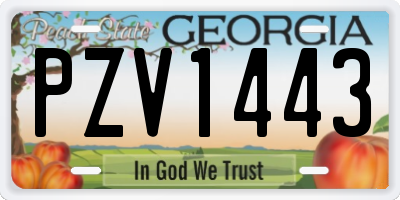 GA license plate PZV1443