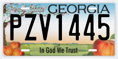 GA license plate PZV1445