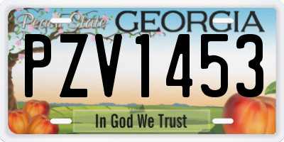 GA license plate PZV1453