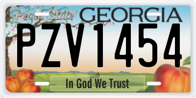 GA license plate PZV1454