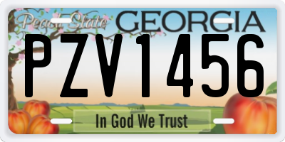 GA license plate PZV1456