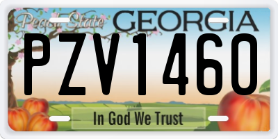 GA license plate PZV1460