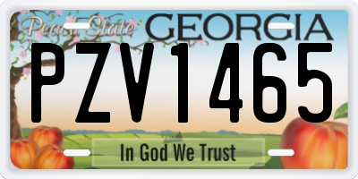 GA license plate PZV1465