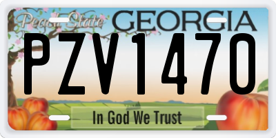 GA license plate PZV1470