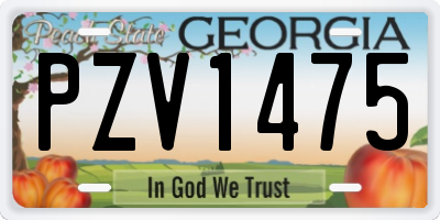 GA license plate PZV1475