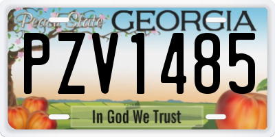 GA license plate PZV1485