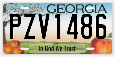 GA license plate PZV1486