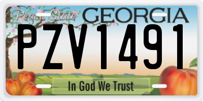 GA license plate PZV1491
