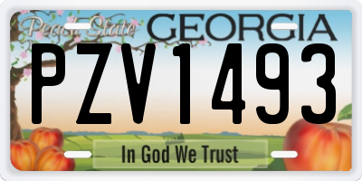 GA license plate PZV1493