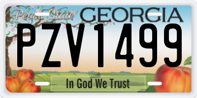 GA license plate PZV1499
