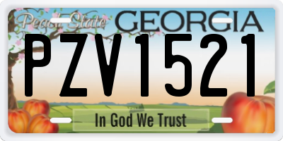 GA license plate PZV1521