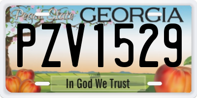GA license plate PZV1529