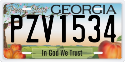 GA license plate PZV1534