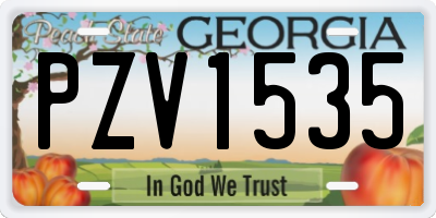 GA license plate PZV1535
