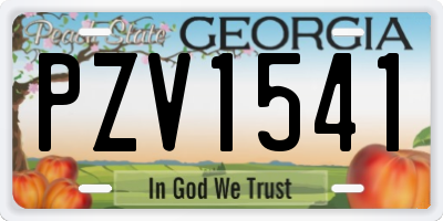 GA license plate PZV1541