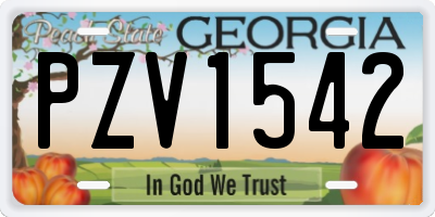 GA license plate PZV1542