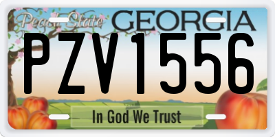 GA license plate PZV1556