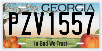 GA license plate PZV1557