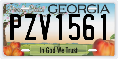 GA license plate PZV1561