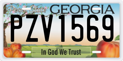GA license plate PZV1569