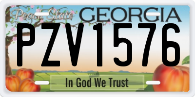 GA license plate PZV1576