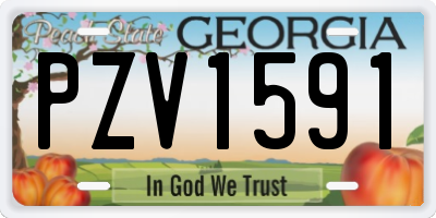 GA license plate PZV1591