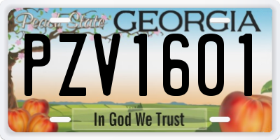 GA license plate PZV1601